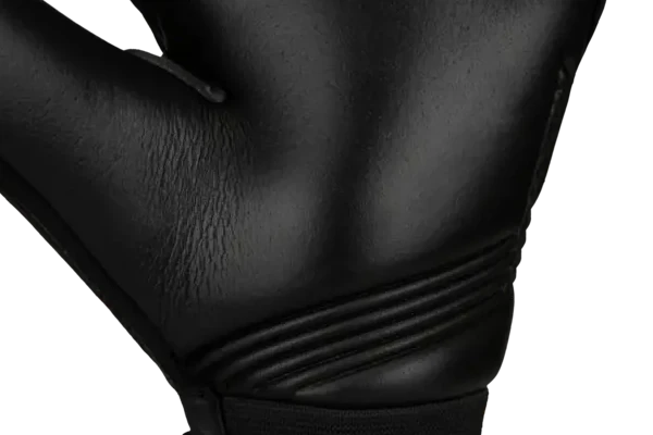 rs1-latex